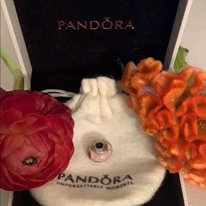 Pandora charm